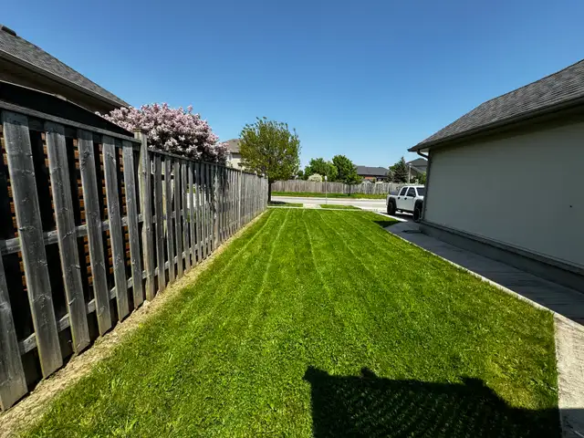 FALL CLEAN UP / SNOW REMOVAL / LAWN CUTTING in Lawn, Tree Maintenance & Eavestrough in London - Image 7