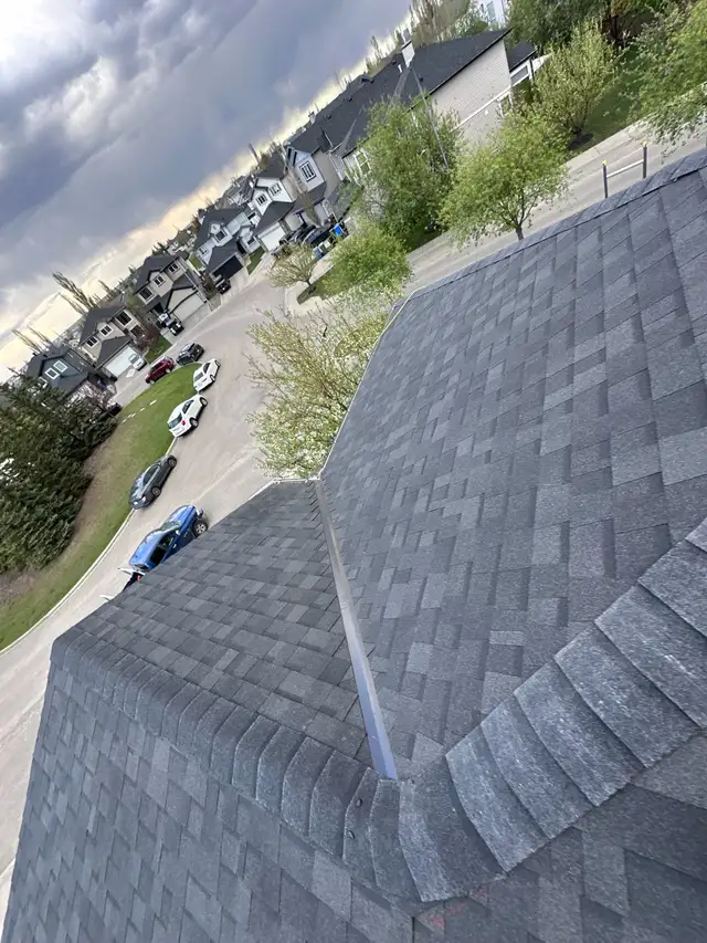 roofing service 456524698527344642