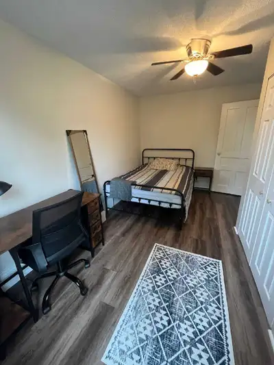 Room available in Peterborough - Rent 770 all-inclusive - Big Bright fully furnished room - 1st floo...