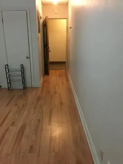 1 Bed 1 Bath Apartment