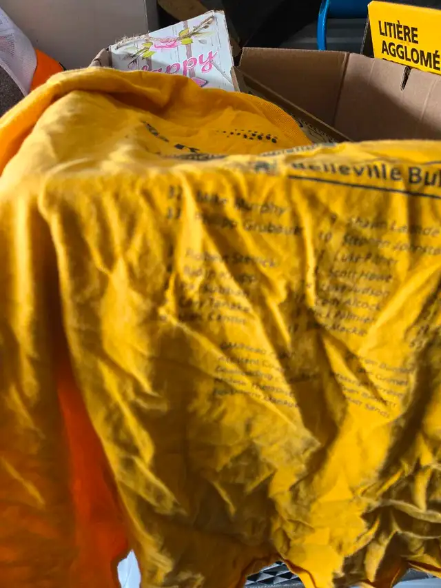 Belleville Bulls T-Shirt in Men's in Belleville - Image 6
