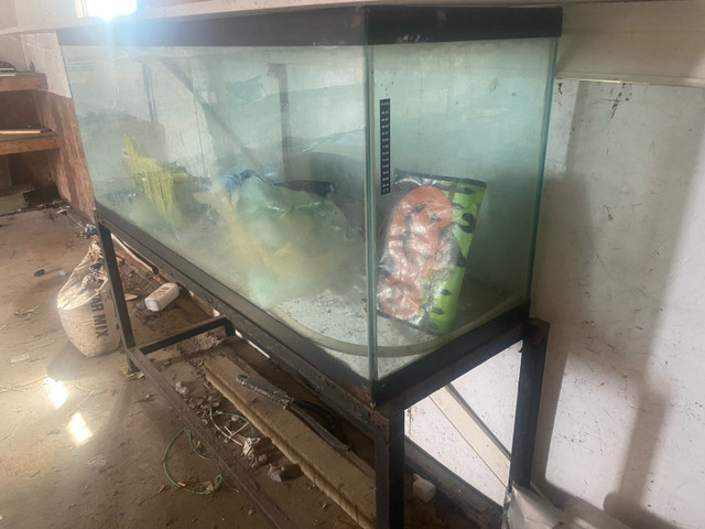 Fish tank and stand  in Animal & Pet Services in North Bay