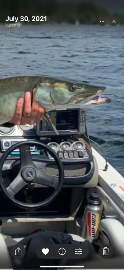 Lowrance HDS7 and HDS9 fishing units. Both in great shape and in working order . Touch screen on bot...