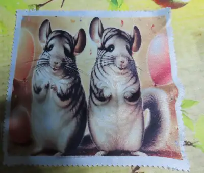 essais-lunette unique, View more