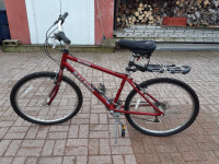 Raleigh mountain bike