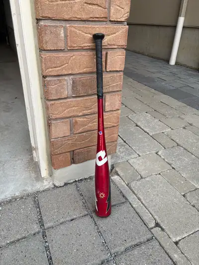 2021 DeMarini Voodoo One 29/19 -10 Youth Baseball Bat, View more