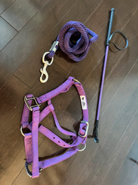Equestrian gear - crop, lead rope & halter 