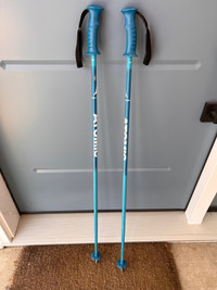 Youth ski poles 