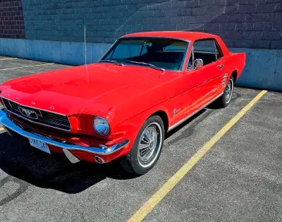 1966 mustang Was in mint shape until someone backed into the door. Trunk is full of extra parts, fro...