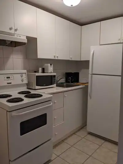 Large One Bedroom Apartment in Downtown Toronto (95 PEMBROKE) Fully furnished one bedroom apartment...