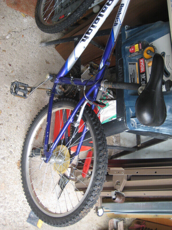 FS: Adult ladies Raleigh mountain bike, Kids bike 20 inch wheel in Road in Ottawa - Image 2