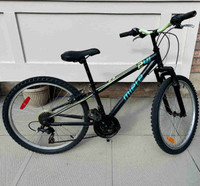 24 inch bike in good condition