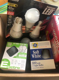 Box of New & Used Light Bulbs