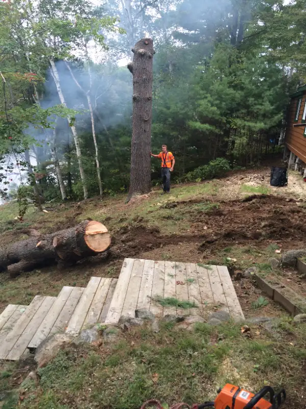 $SPECIALS$ DISCOUNTS FREE QUOTES FULLY INSURED AtoZ VIKING TREE in Lawn, Tree Maintenance & Eavestrough in Kingston - Image 9