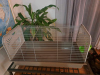 Rabbit/guinea pig cage with hay rack built in