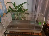 Rabbit/guinea pig cage with hay rack built in