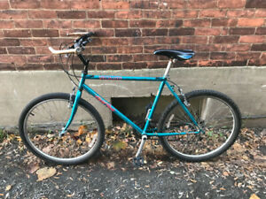 Silver alum large frame road bike$125small frameMountain bike$99 in Mountain in Ottawa - Image 2