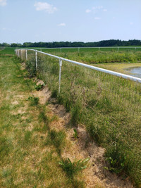 Poultry fence