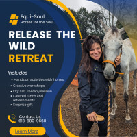 Release the Wild Horse Retreat