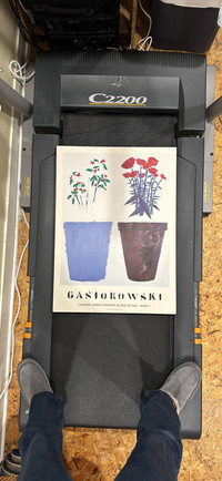 Mounted “Flower Pot” by Gasiorowski