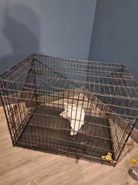 Cage pour chien 45$