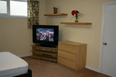 Bachelor Basement Apartment near Dufferin and Finch