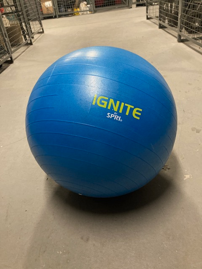 Ignite by SPRI 55cm Anti-Burst Weighted Performance Ball., View more