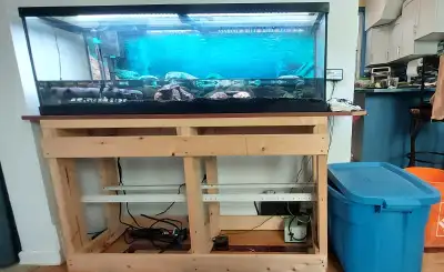 40 Gal Gallon Aquarium Great Starter Kit, View more