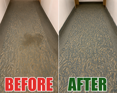Deep Carpet & Sofa Cleaning - 647-928-4296, View more