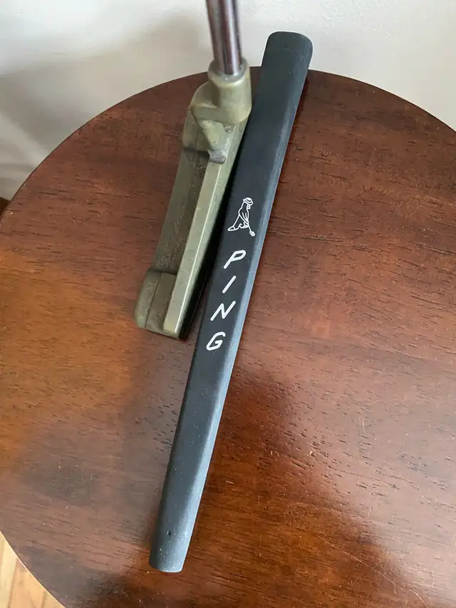 Ping anser65565399893889124