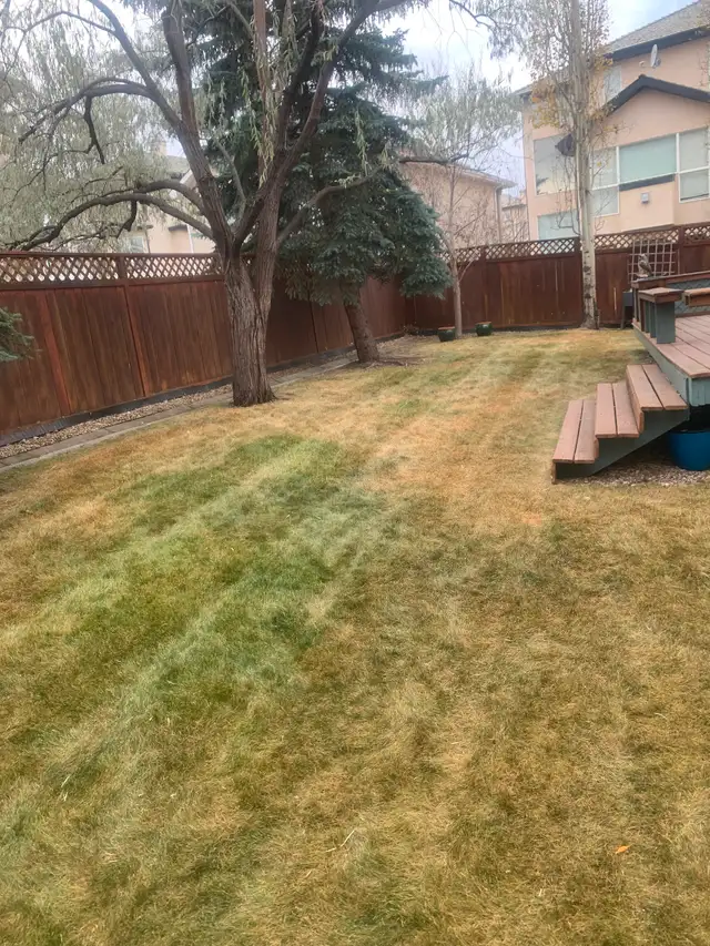 Professional Fall Cleanup and Snow Removal Services591903317548093443
