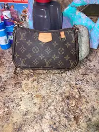 Louis Vuitton handbag  OBO