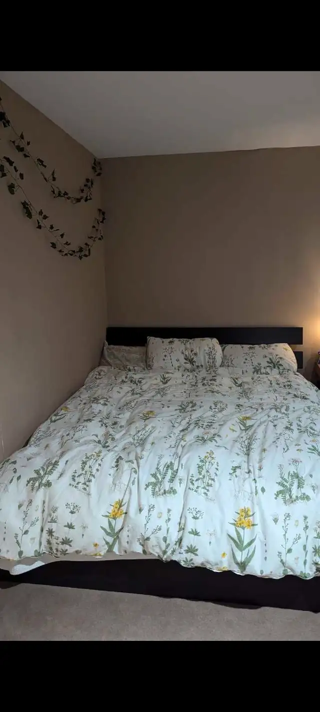 Private Room for Rent in Room Rentals & Roommates in Ottawa - Image 3
