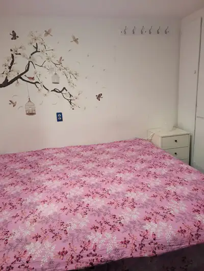 room for rent