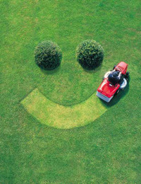 Lawn/Property maintenance.