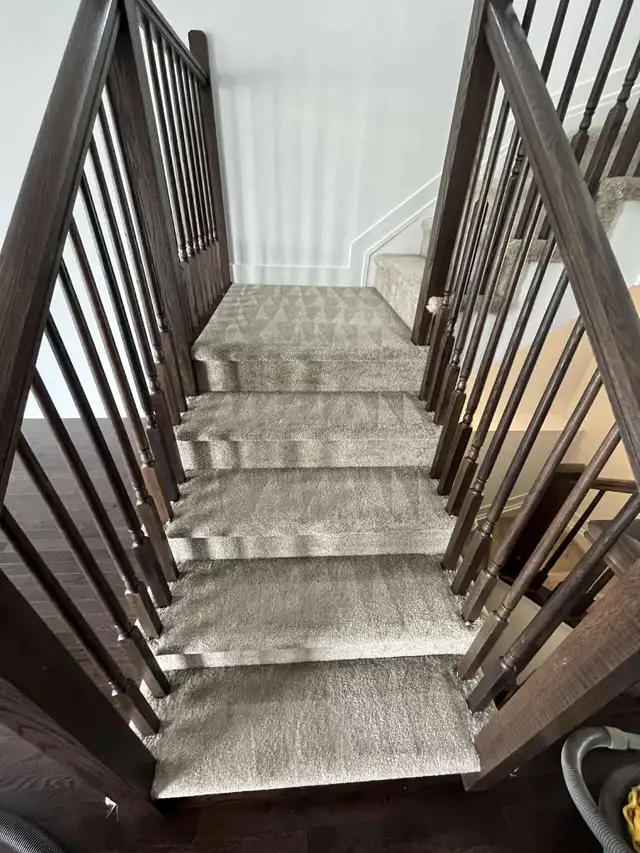 Carpet, Office, and House Cleaning Service62863724159362121