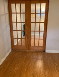 1 Bedroom basement available for rent in Scarborough.