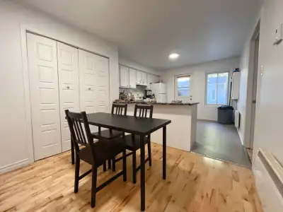 4 bedrooms furnished next to Metro Lionel-Groulx DT and Atwater
