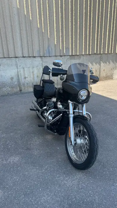2020 Softail Standard 17000km lots of extras - Cobra Neighbour Hater - stepup seat - sissy bar - clu...
