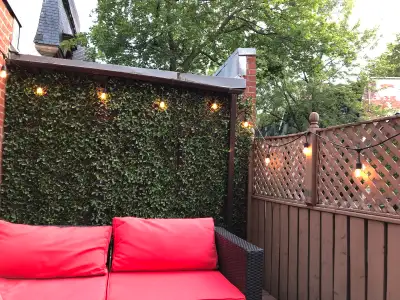 Huge 4 Bedroom Furnished Downtown