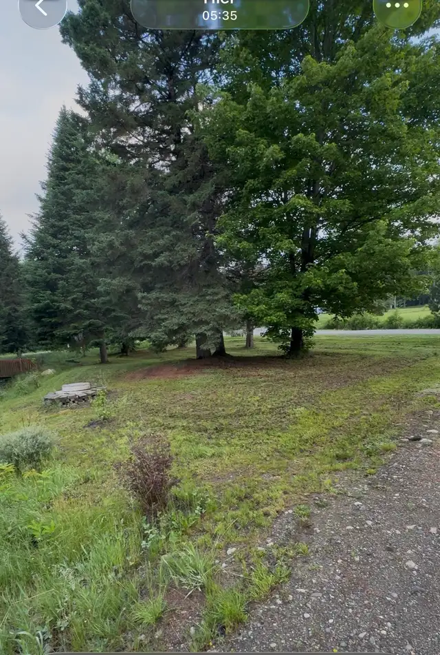 Camping site489520067206850560