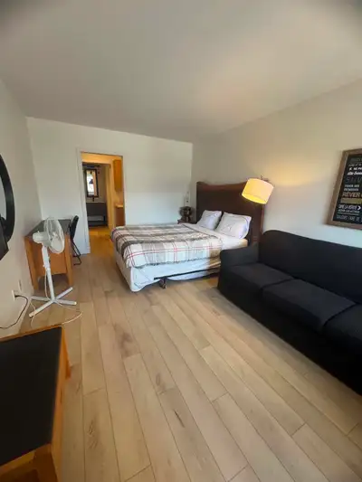 Studio à louer – 175 rue Pinoteau, Mont-Tremblant – 1 300$/mois TOUT INCLUS Magnifique studio situé...