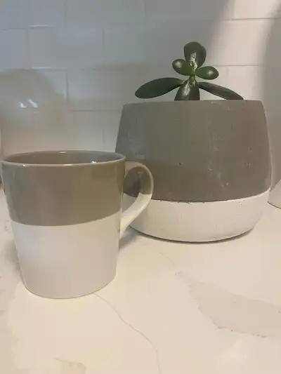 Crate & Barrel Mug and Jade plant- Two-Toned Grey and White, View more