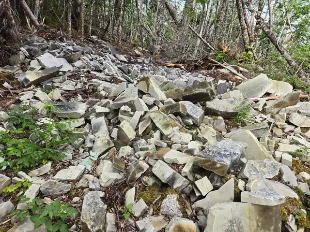 Nova Scotia Flagstone Available. in Other in Dartmouth - Image 9