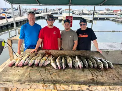 Lake Erie walleye fishing charter , View more