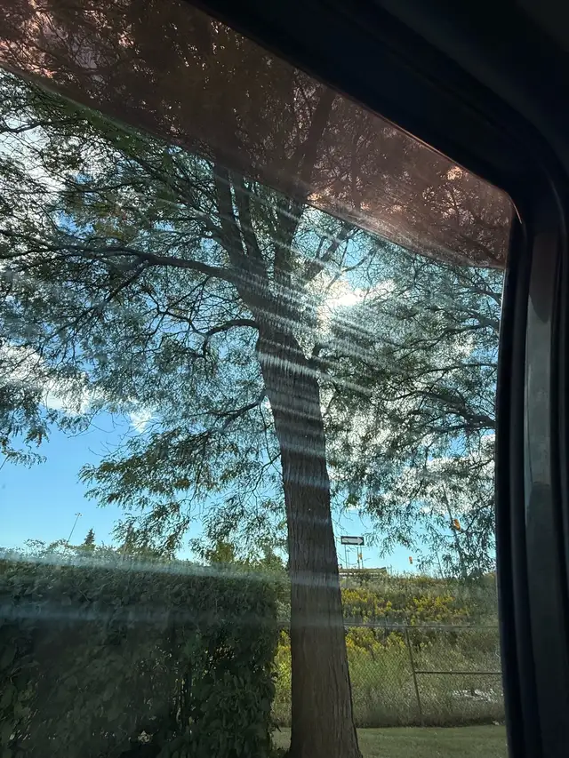 Brantford to GTA (I am female Driver)