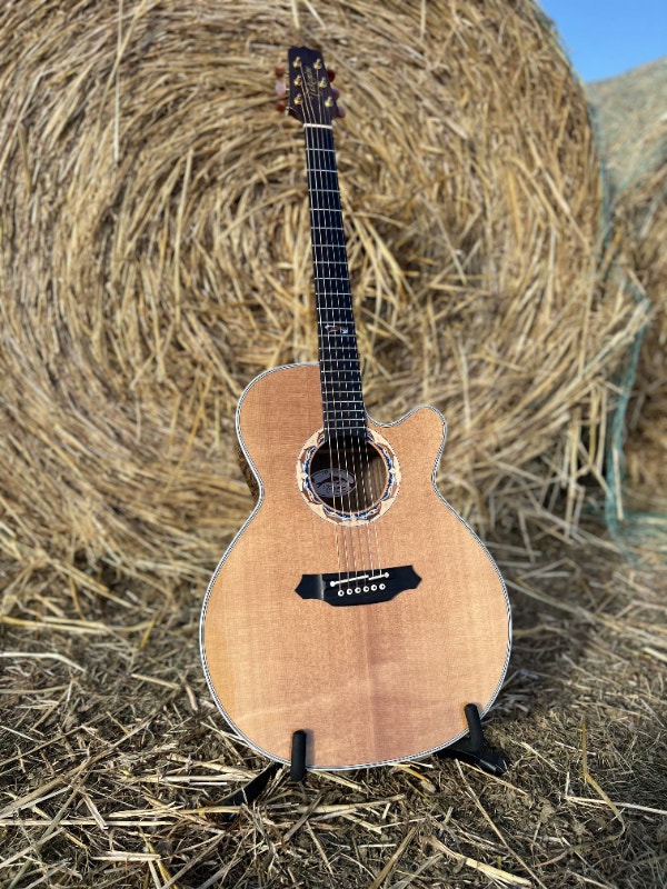 Takamine LTD2001 Dolphin Motif Acoustic Guitar w/pickup Guitars