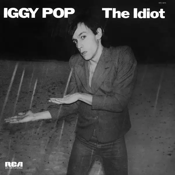 Iggy Pop vinyl record628632691636501229