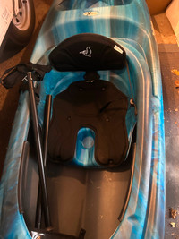 Costco Premium Kayak and paddles
