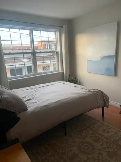 Roommate Wanted